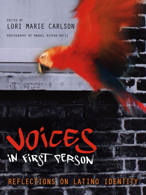 Cover image for Voices in First Person